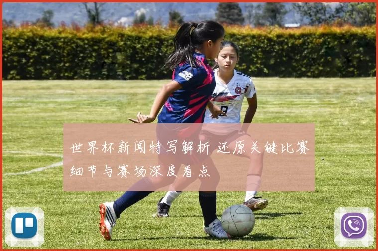 世界杯新闻特写解析 还原关键比赛细节与赛场深度看点