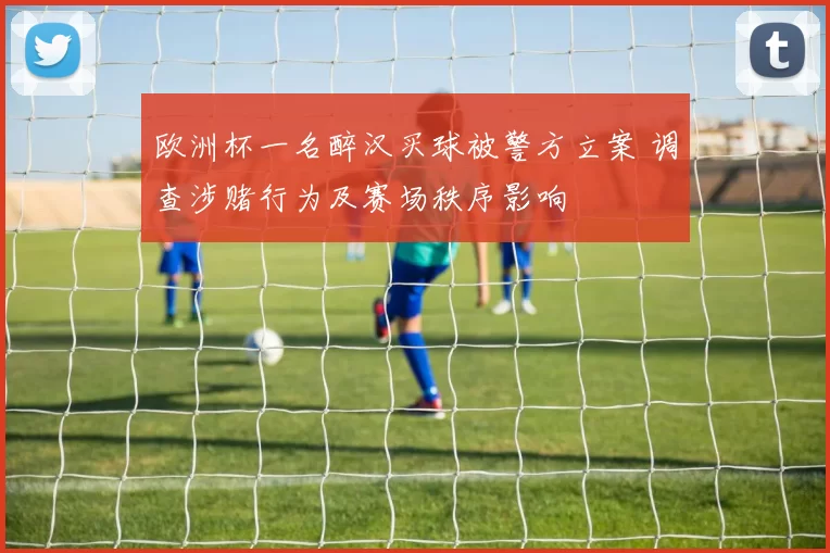 欧洲杯一名醉汉买球被警方立案 调查涉赌行为及赛场秩序影响