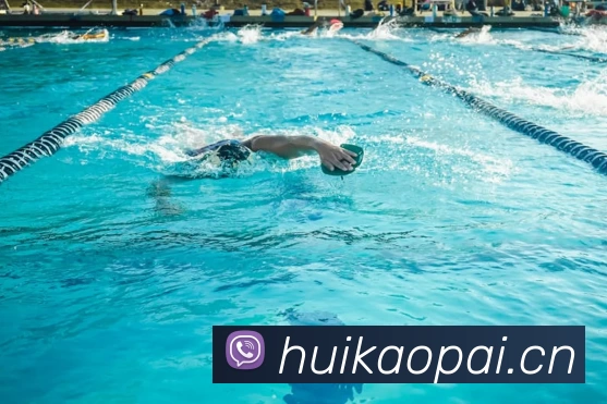 App Interface Preview